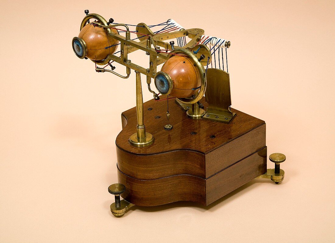 19th century ophthalmotrope