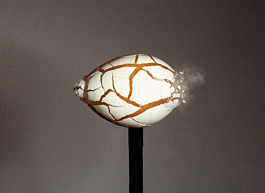 Bullet hitting an egg,high-speed image