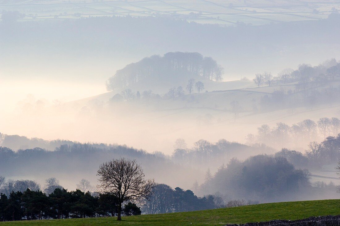 Morning mist over farmland