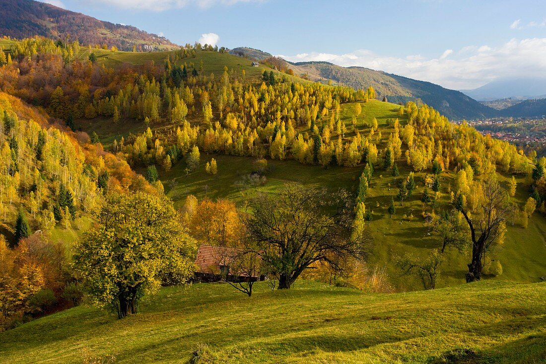 Pastoral autumn landscape in Romania