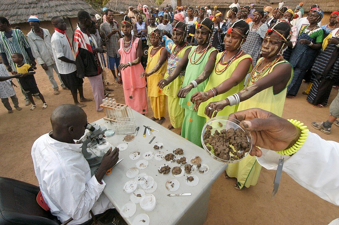 Traditional Senegalese medicine
