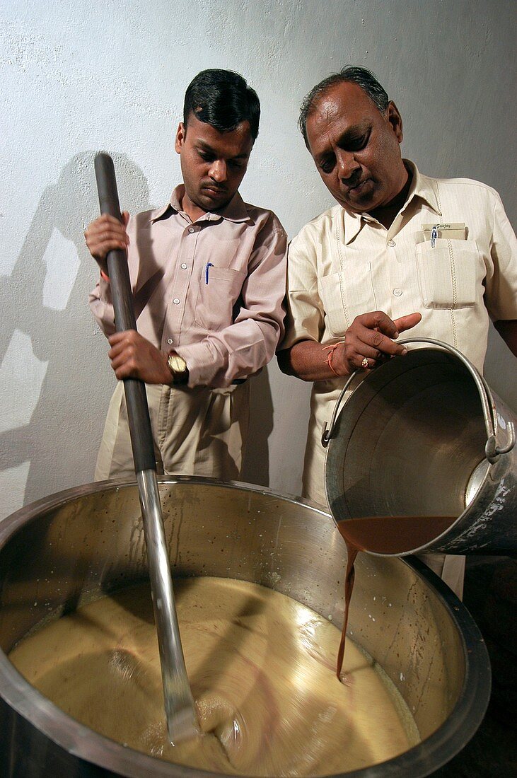 Preparing cow product remedies,India