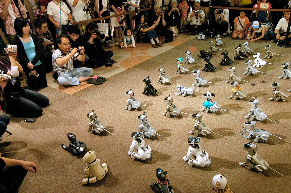 AIBO robot dog convention