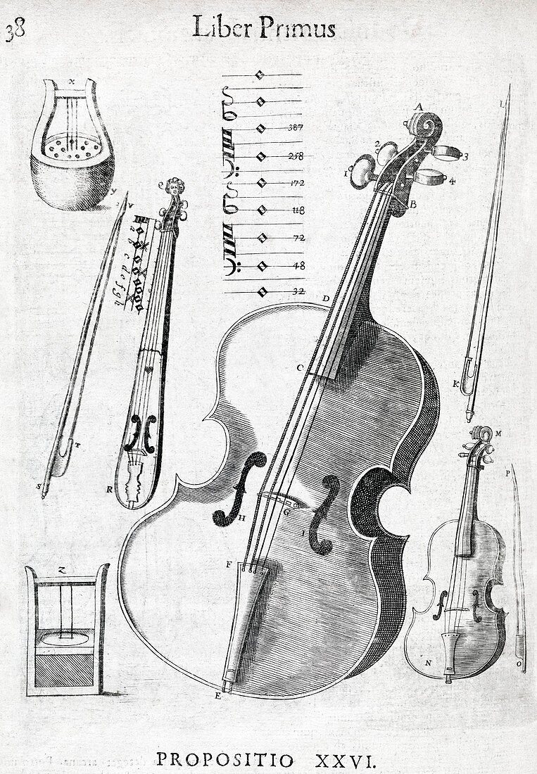 Violin,17th century artwork