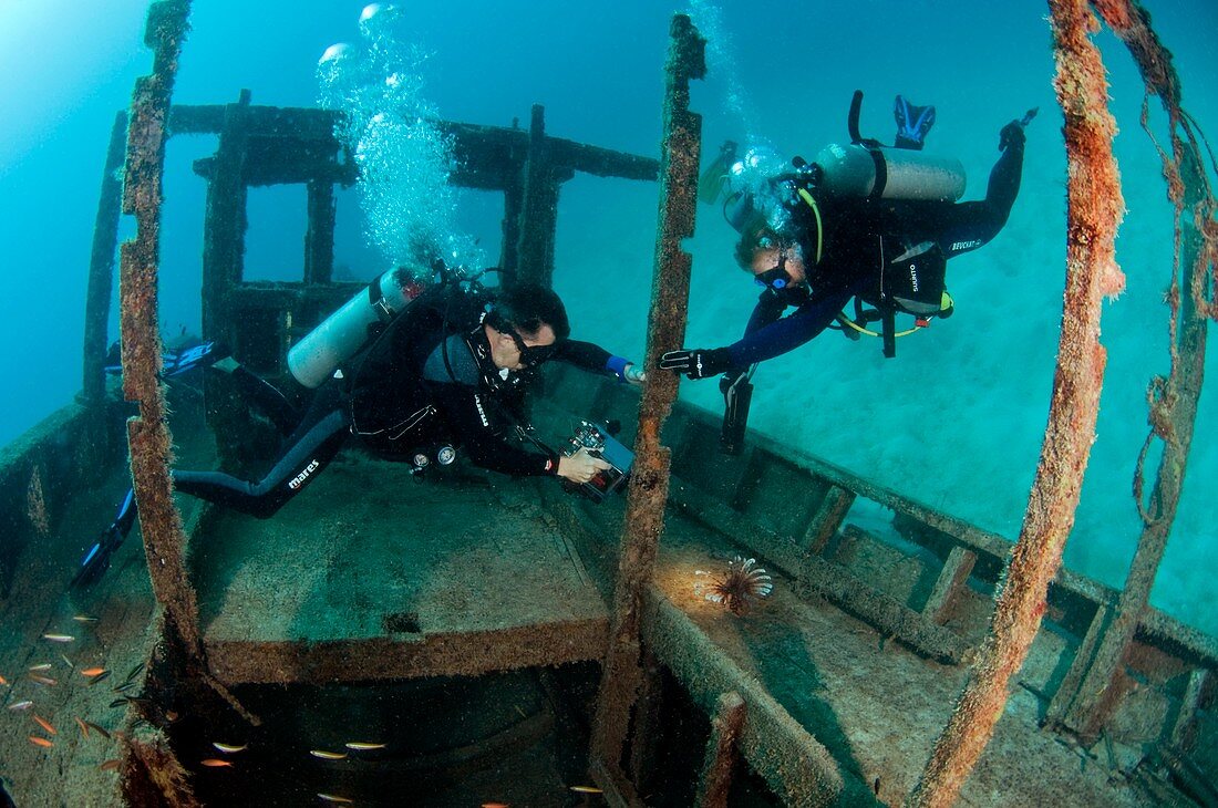 Shipwreck and scuba divers