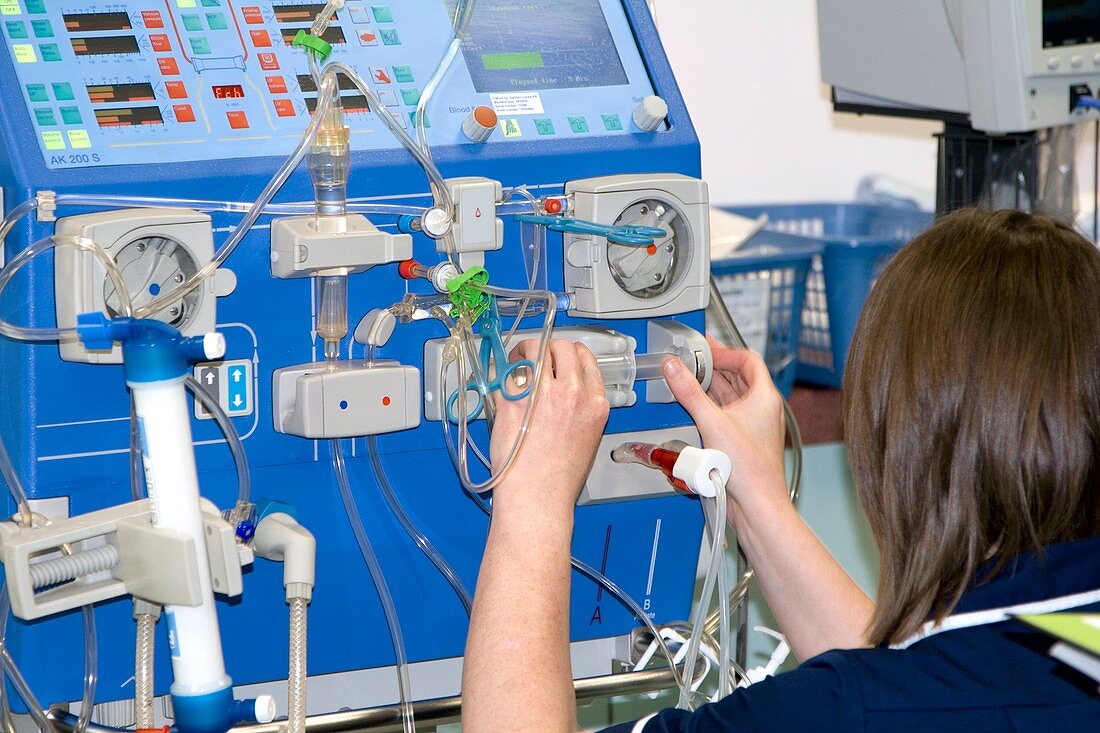 Adjusting a dialysis machine