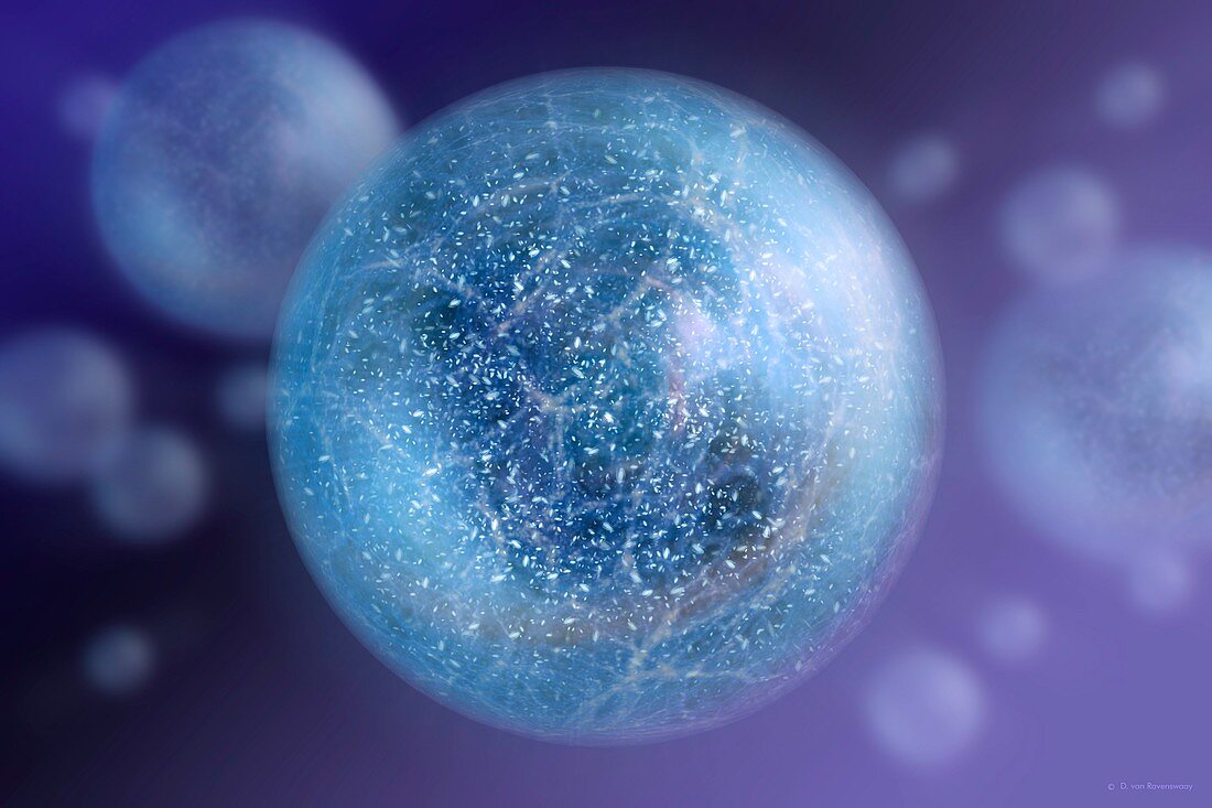 Bubble universe,artwork