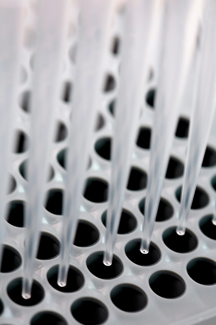 Multipipette filling a multi-well tray