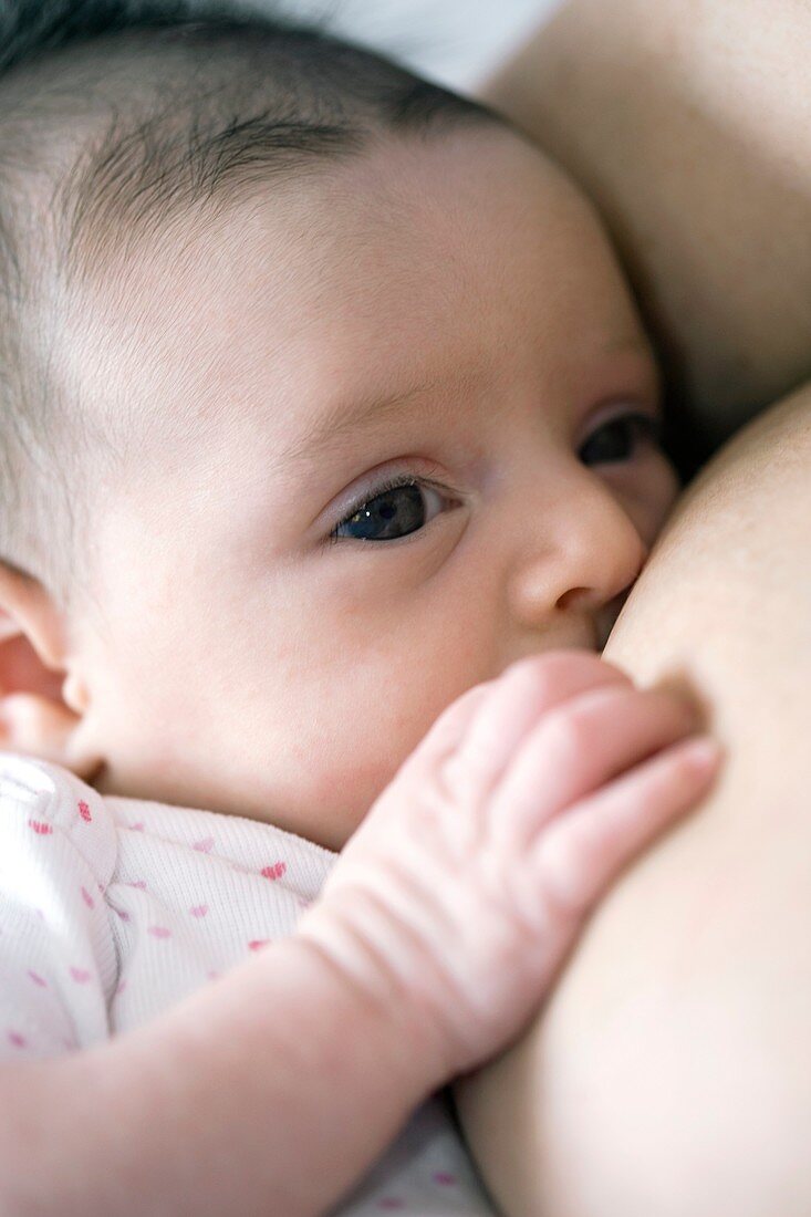 Six week old baby girl breastfeeding