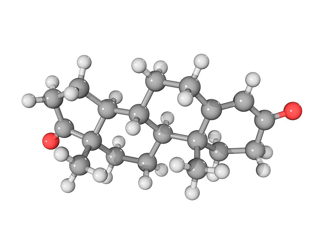 Androstenedione hormone molecule