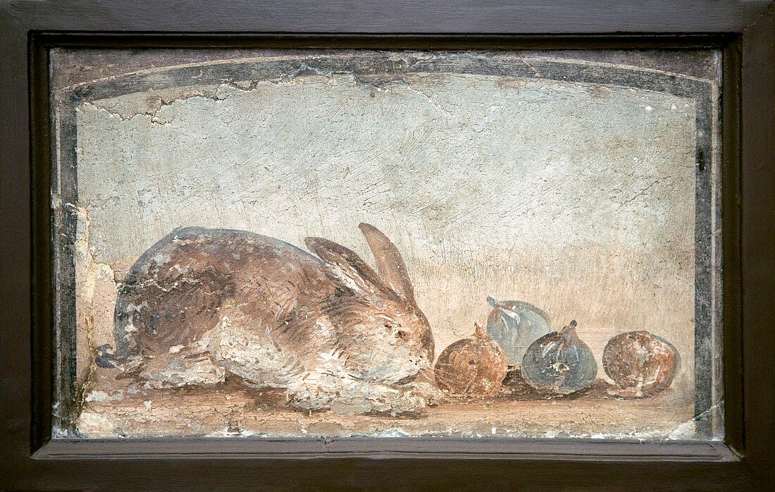 Rabbit and figs,Roman fresco