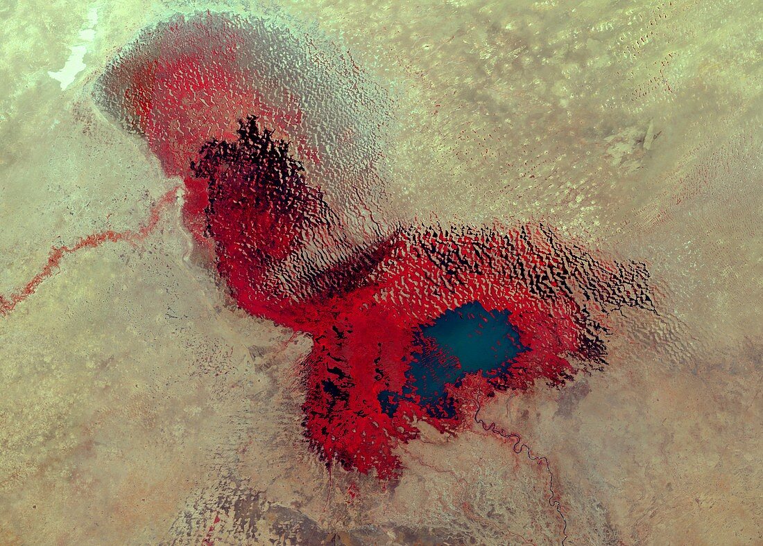 Lake Chad,satellite image,2007