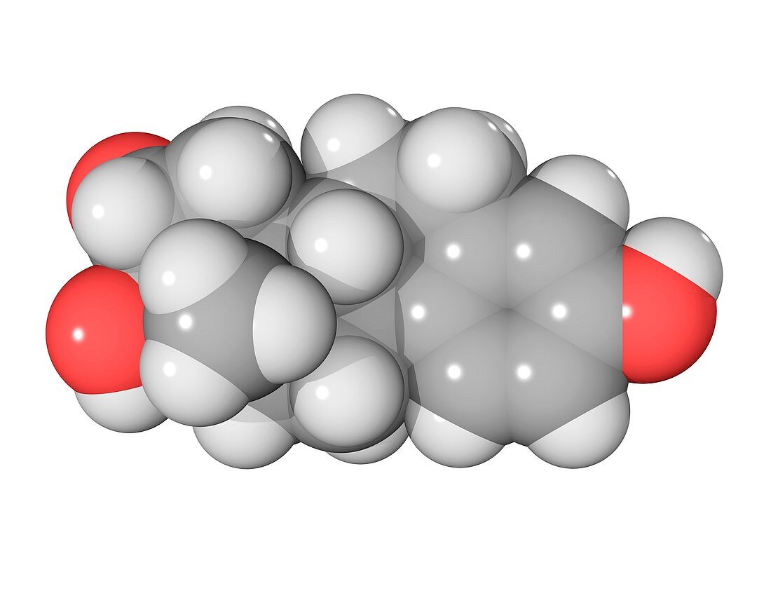 Oestriol hormone molecule