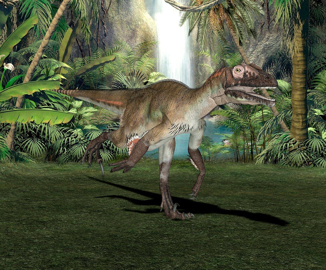 Utahraptor dinosaur