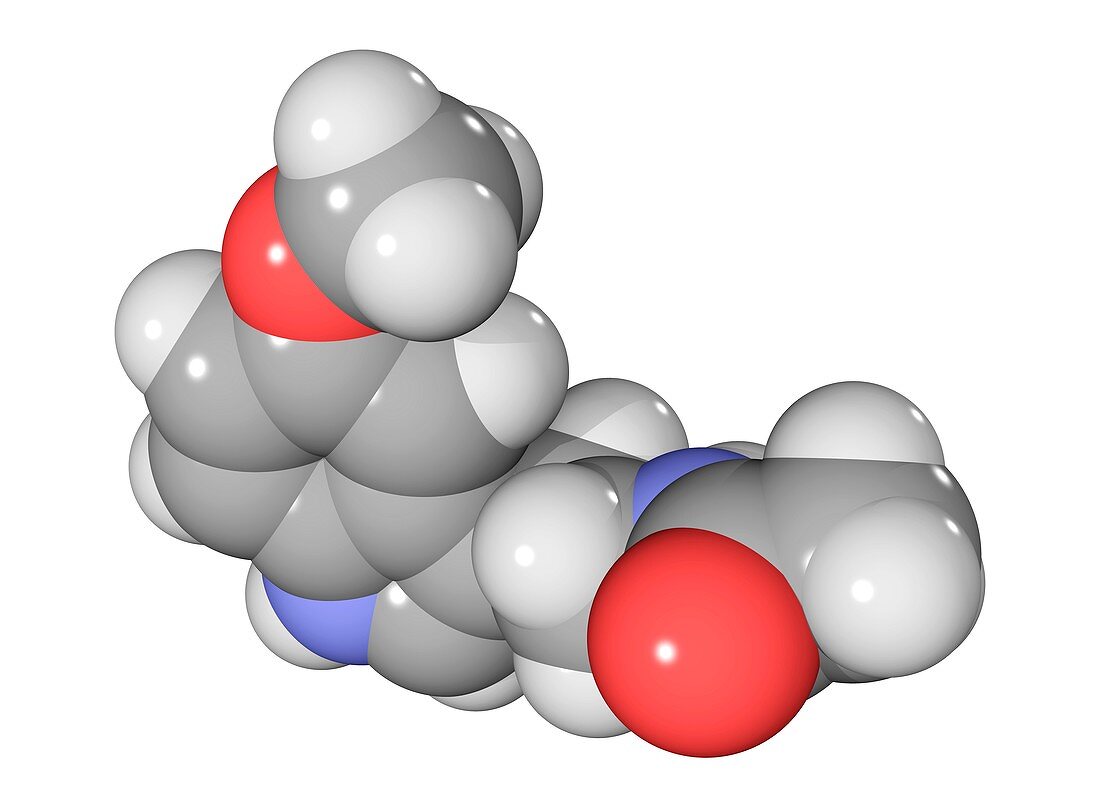 Melatonin hormone molecule