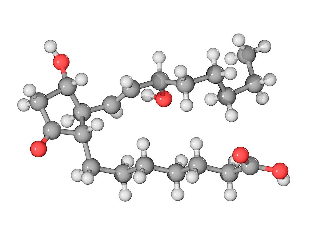 Prostaglandin E1 molecule