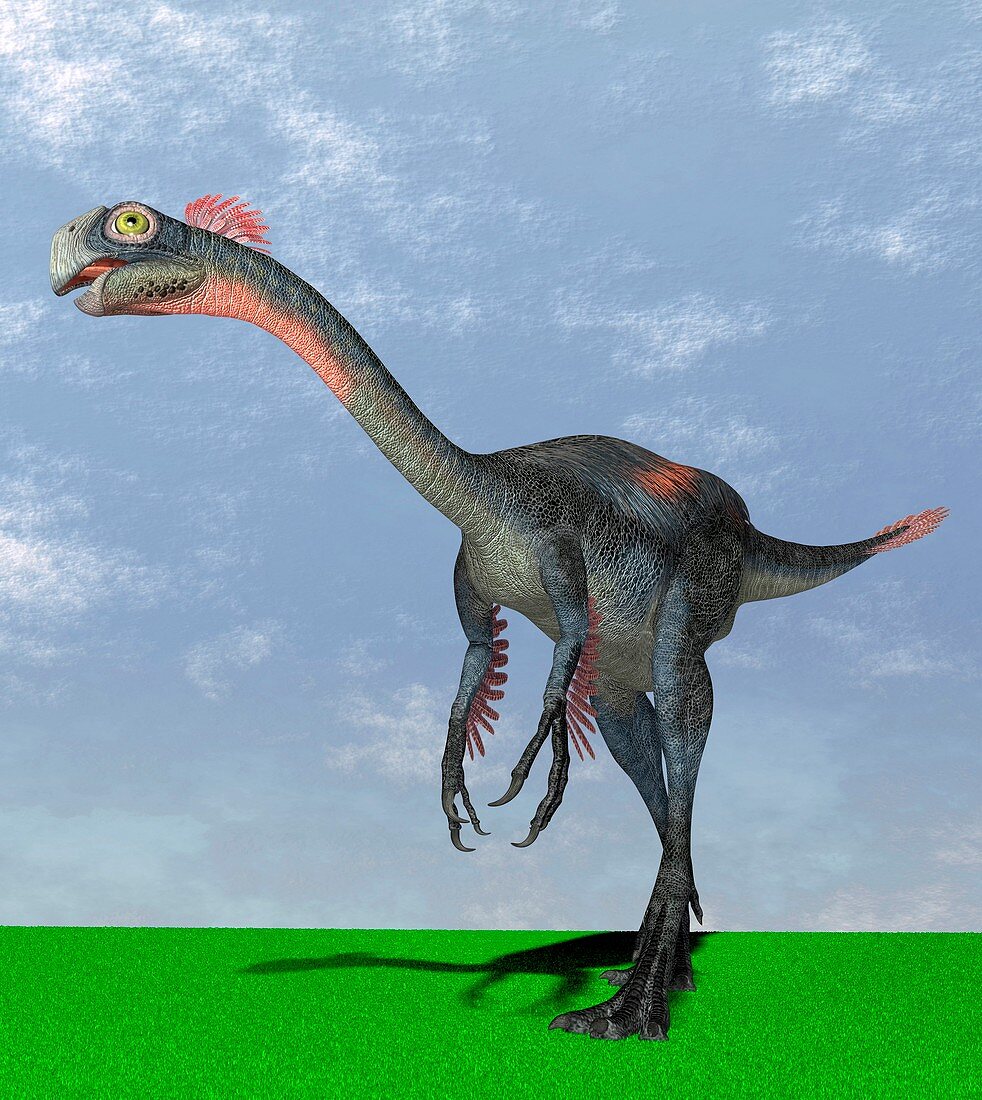 Einiosaurus dinosaur,artwork