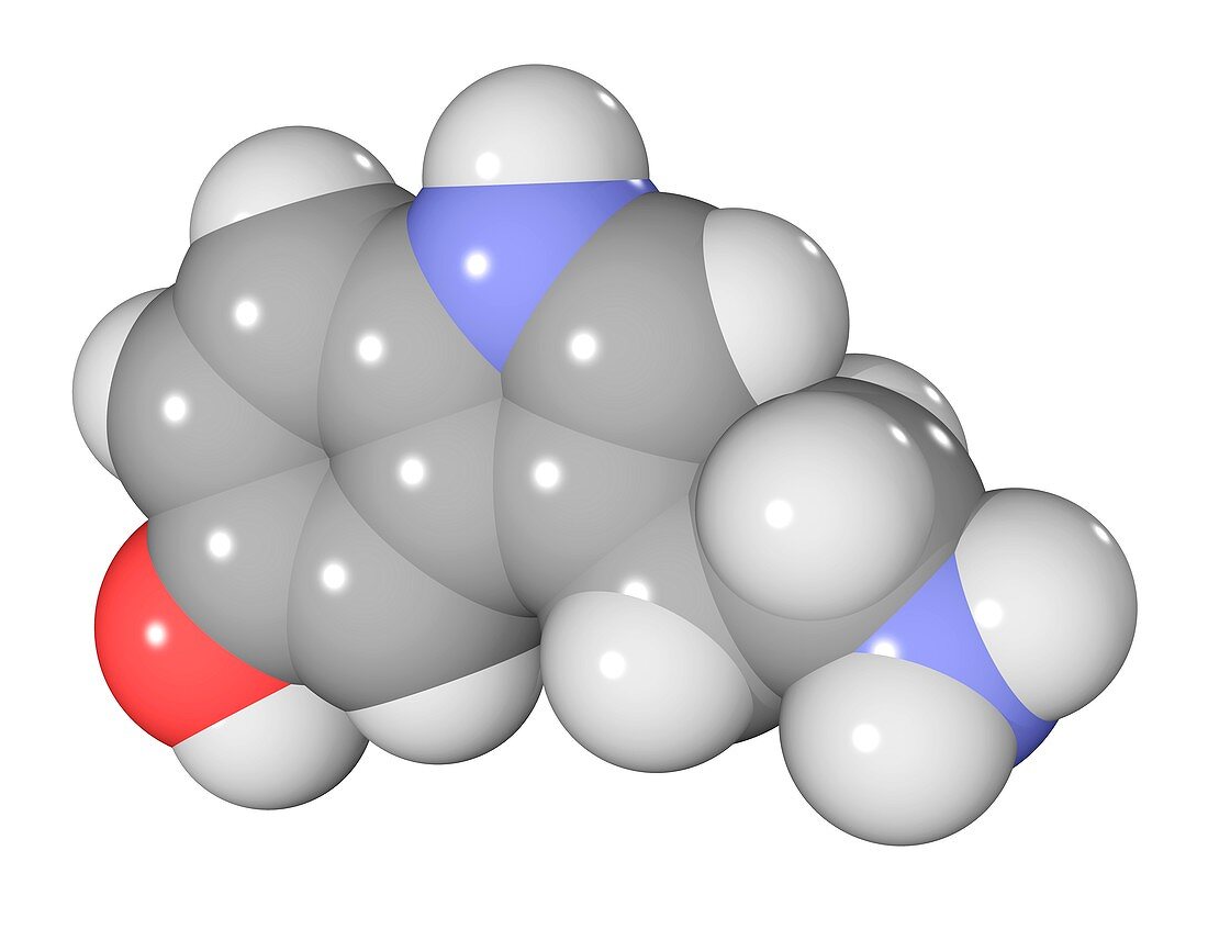 Serotonin neurotransmitter molecule