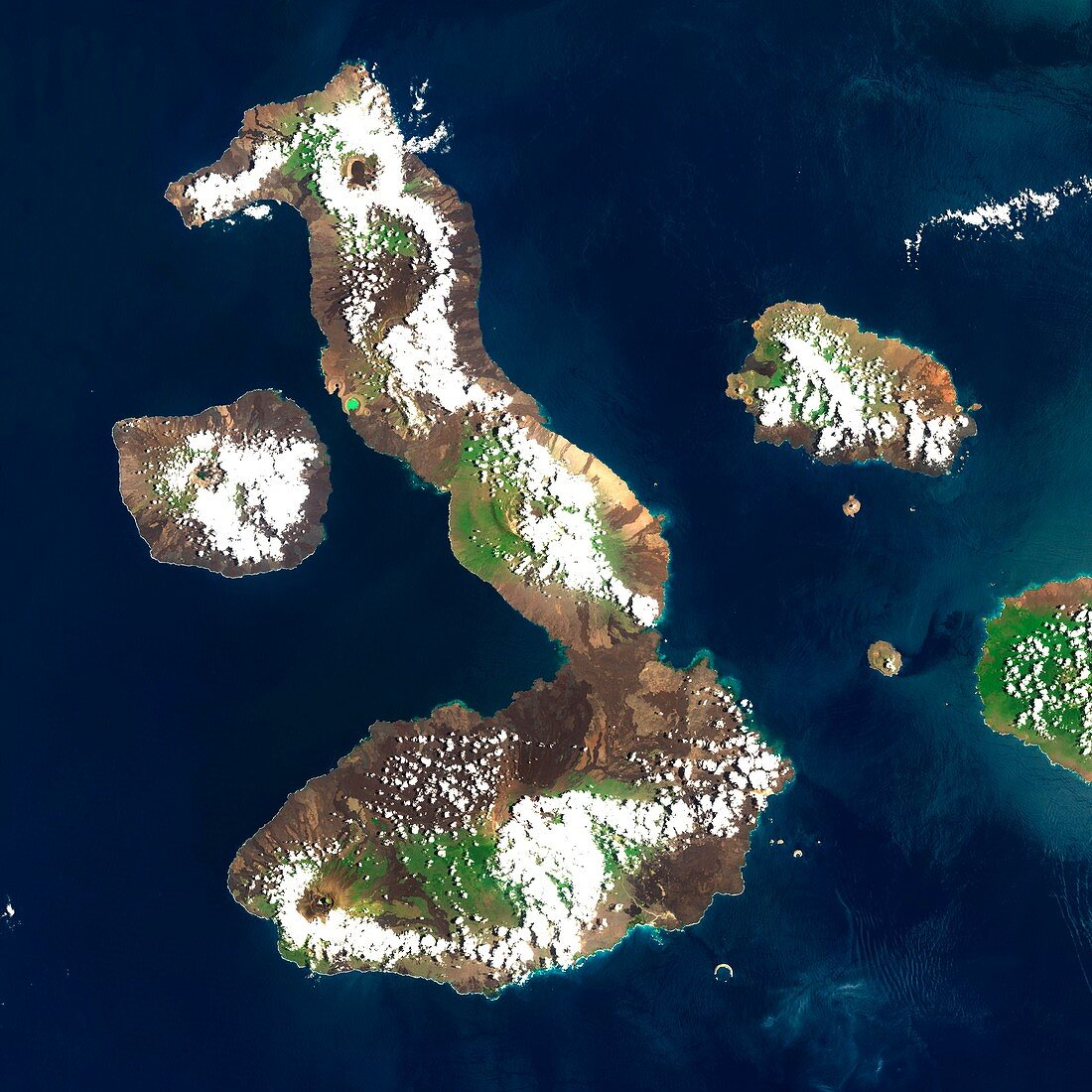 Galapagos Islands,satellite image