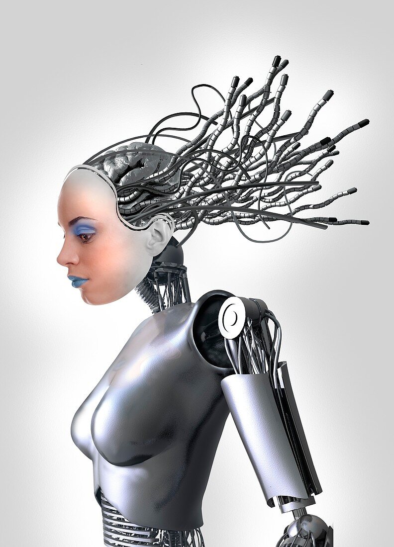 Female cyborg,artwork