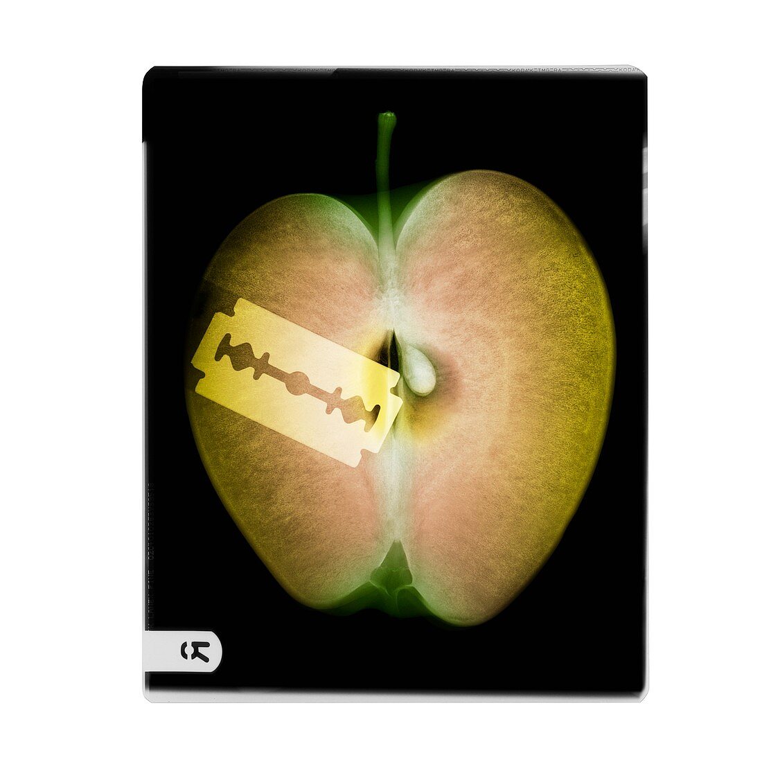 Apple and razor blade,coloured X-ray