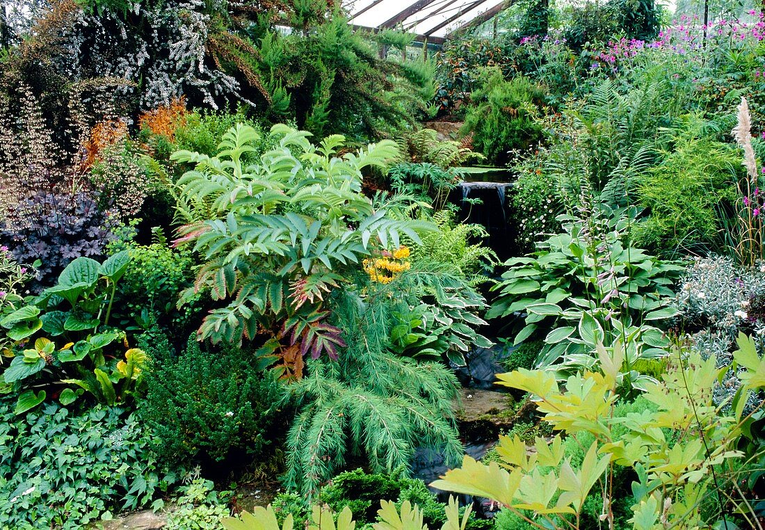 Mixed plants in a greenhouse