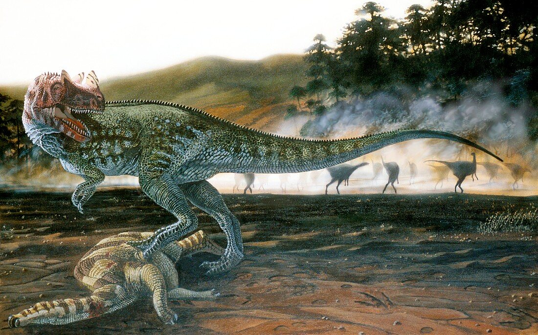 Ceratosaurus dinosaur,artwork