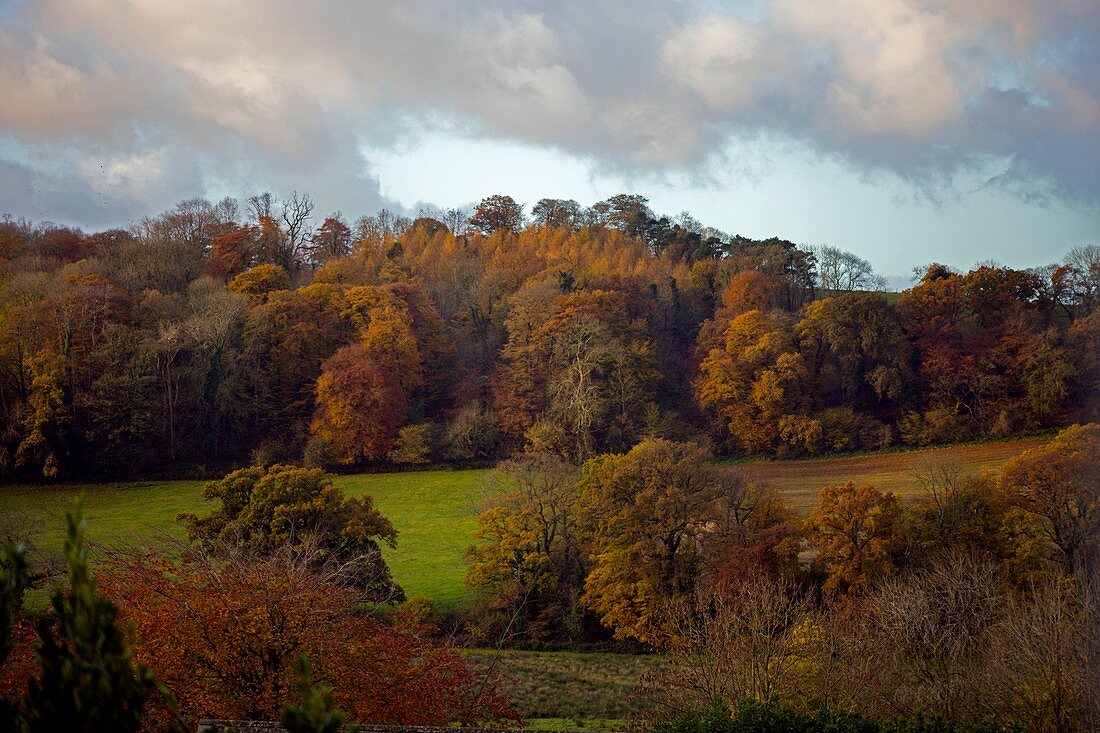 Taw Valley in autumn