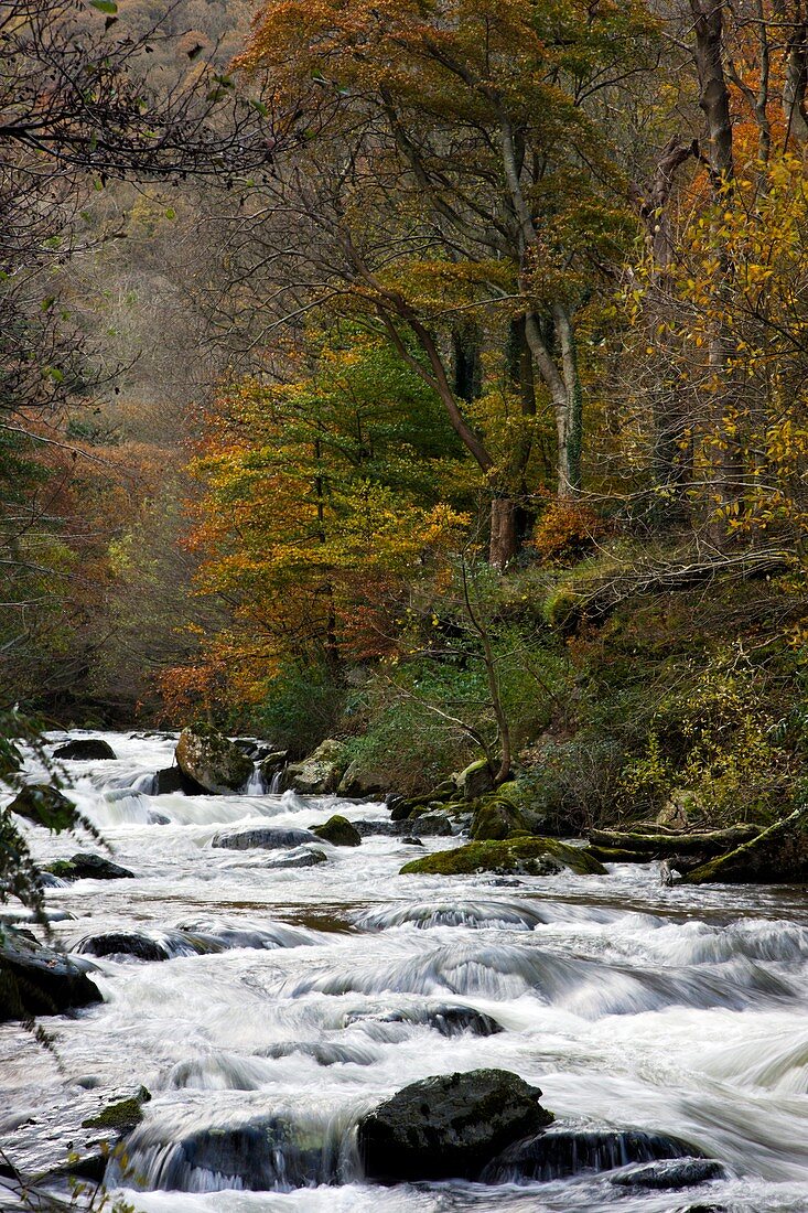 River Lyn in autumn