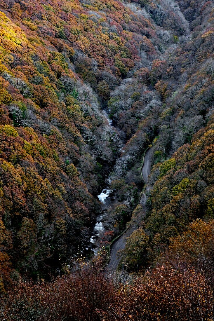 Lynmouth Valley in autumn
