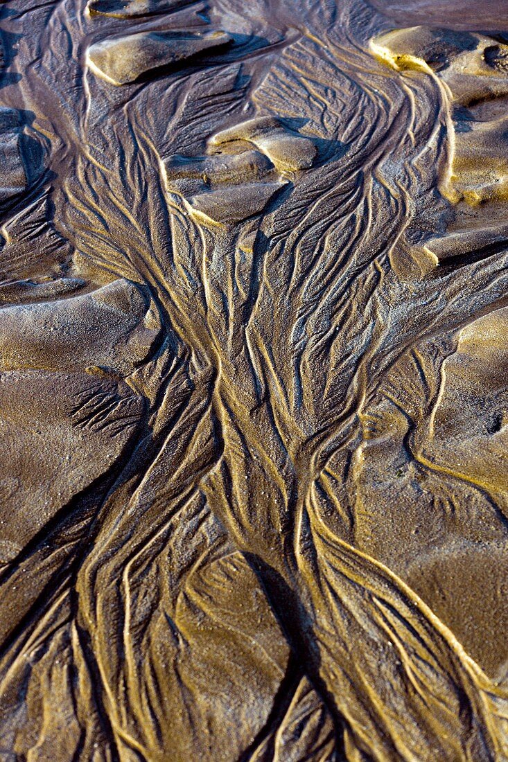 Sand patterns at low tide