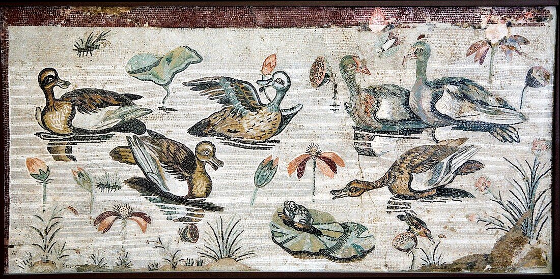 Nile flora and fauna,Roman mosaic