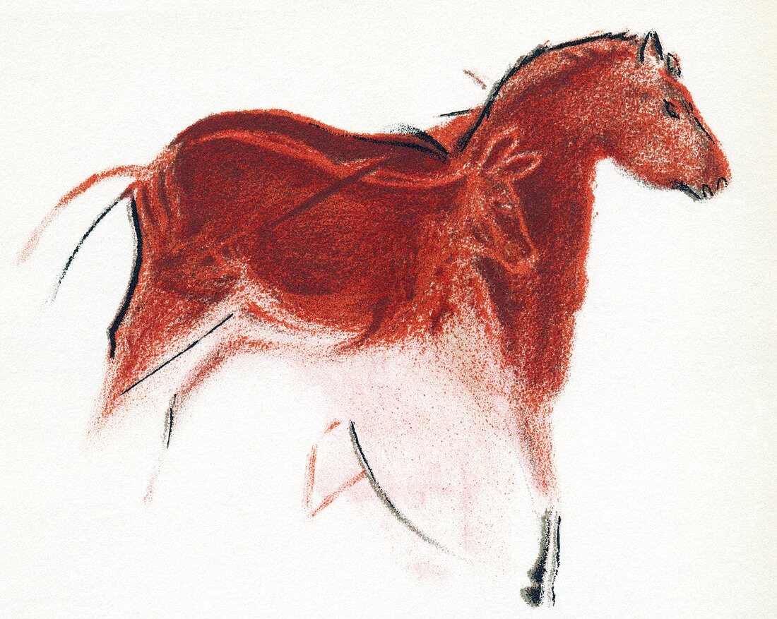 Cave painting of horse and hind,artwork