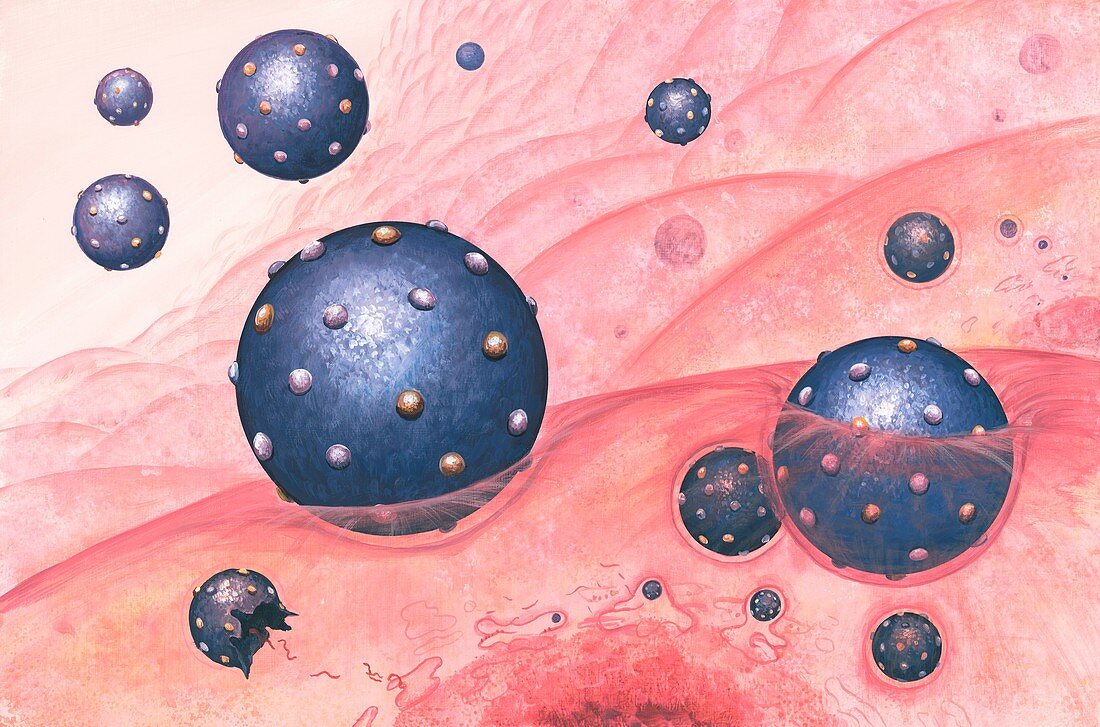 Hepatitis C viruses,artwork