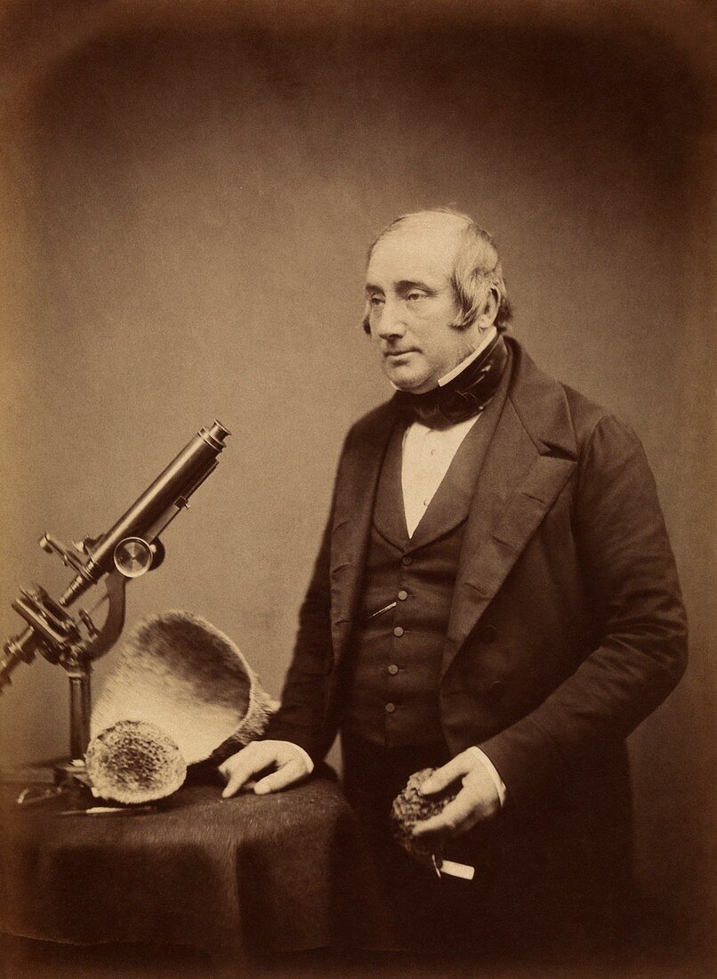 James Bowerbank,British palaeontologist