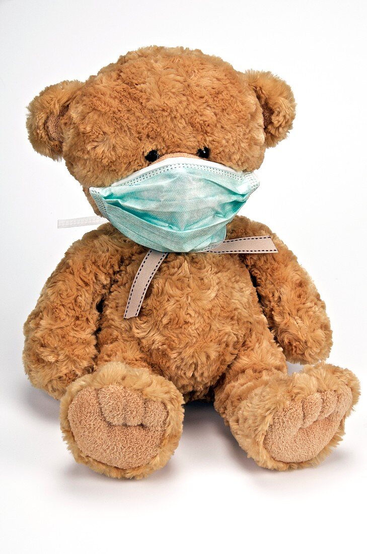 Teddy bear wearing a face mask