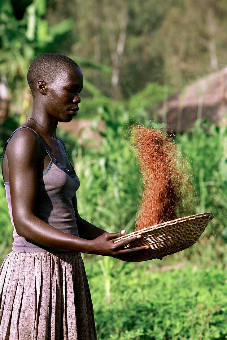 Woman preparing food,Uganda