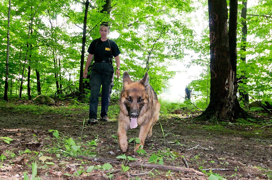 Police dog training