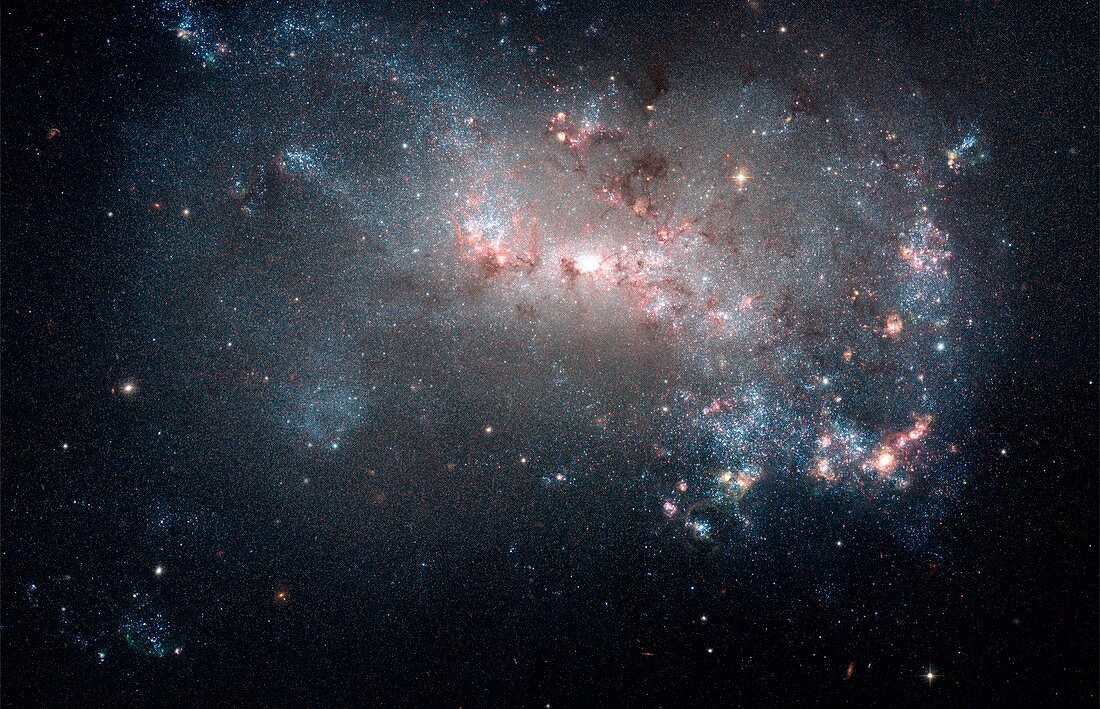 Dwarf galaxy NGC 4449,HST image