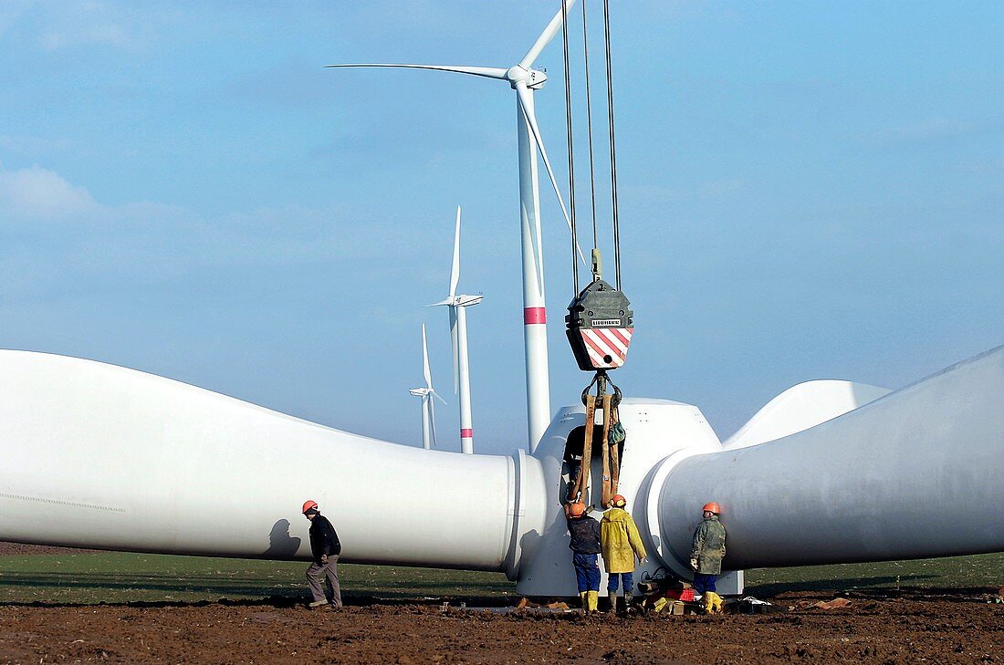 Wind farm construction