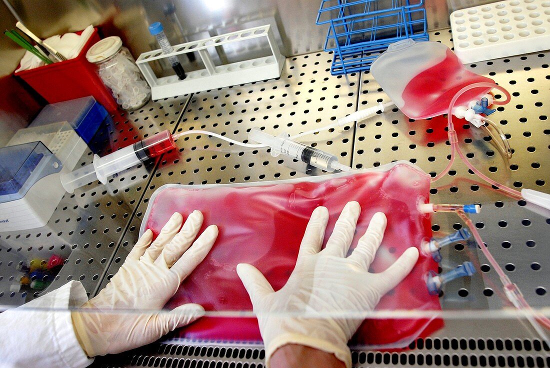 Blood cell manufacturing