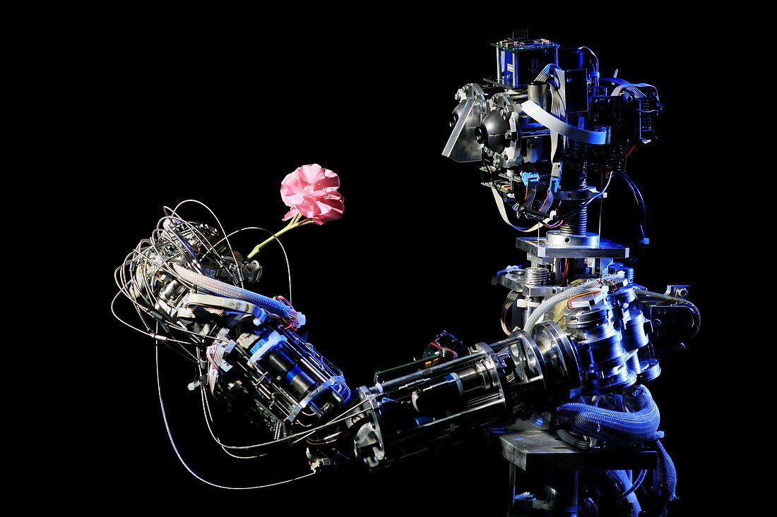 iCub robot holding a flower