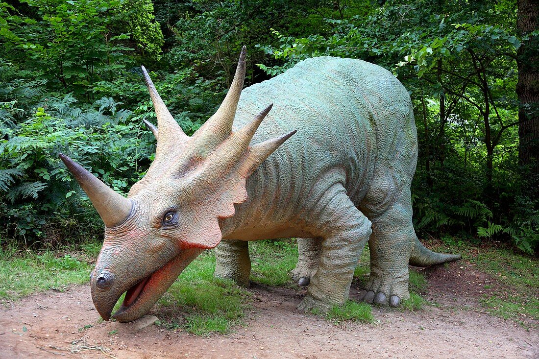 Model styracosaurus dinosaur