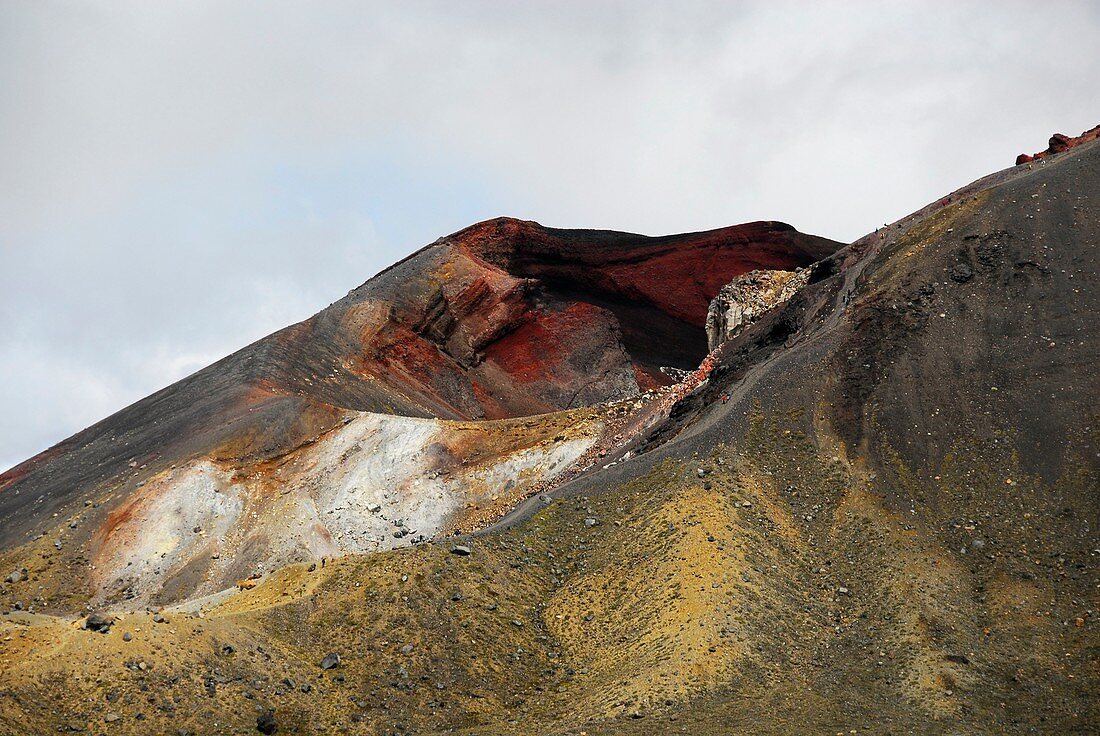 Red Crater volcanic vent,New Zealand