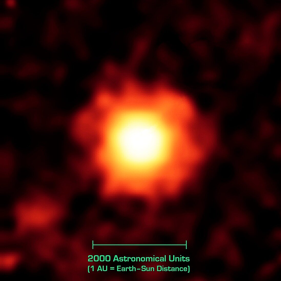 Dust halo around young star HR 8799