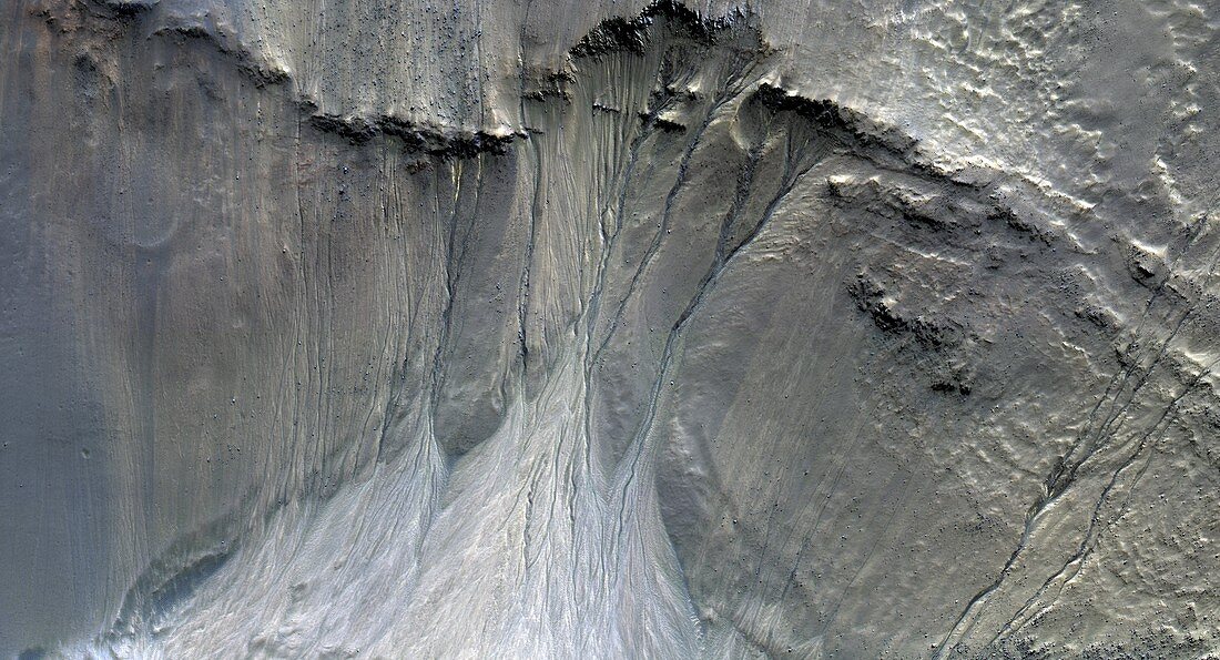 Gullies on martian sand dunes