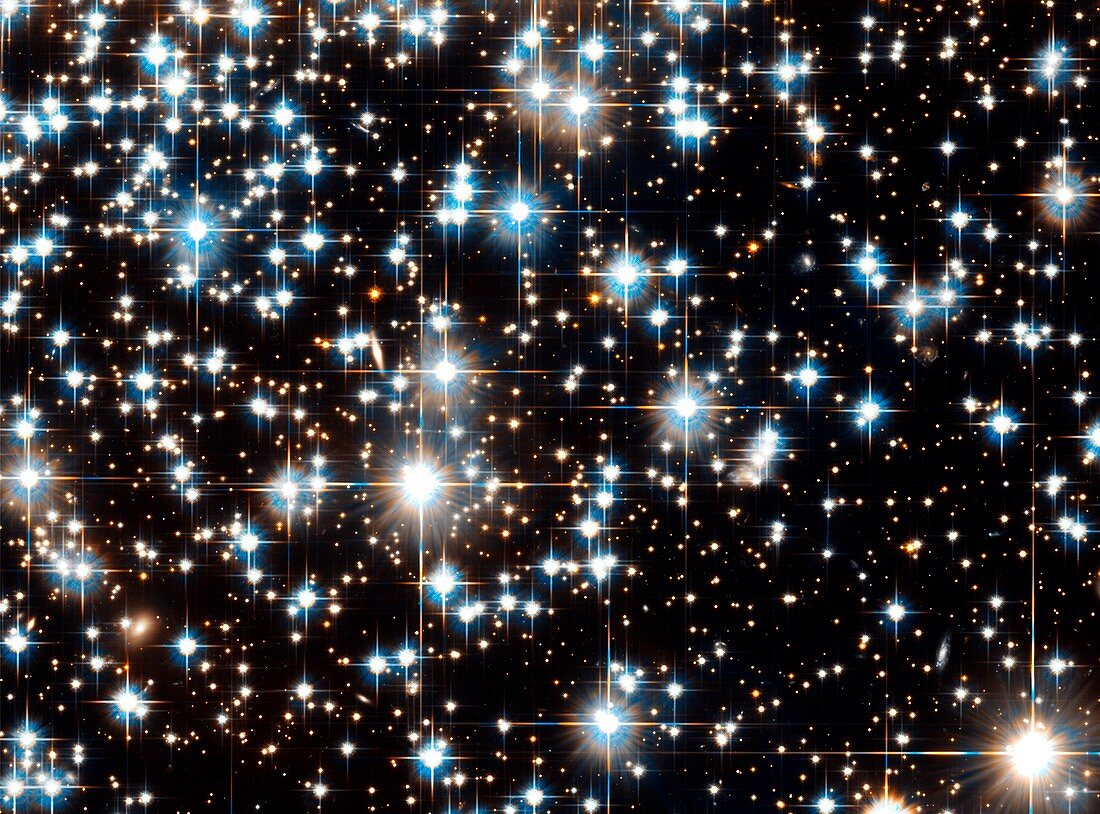 Stars in globular cluster NGC 6397