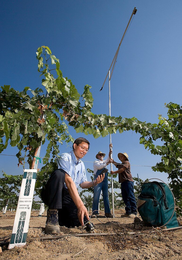 Agricultural research