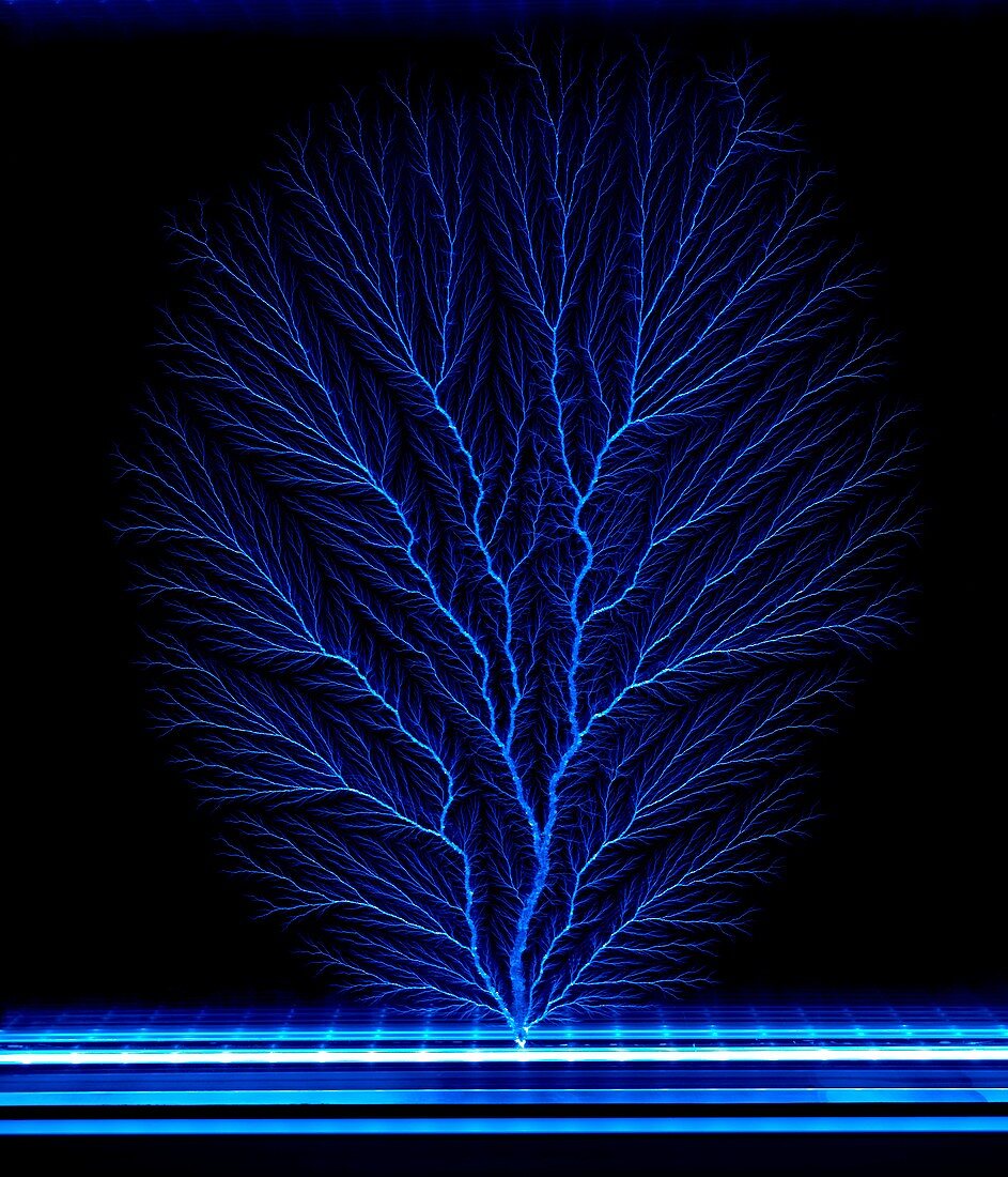 Electron tree