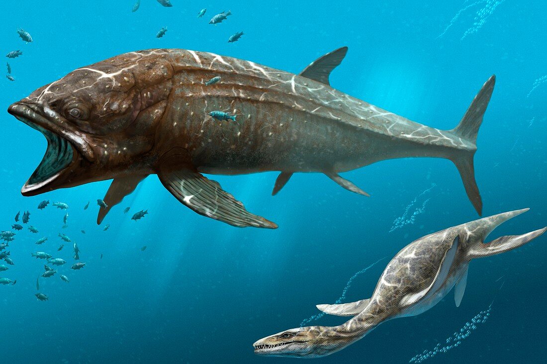 Leedsichthys prehistoric fish,artwork